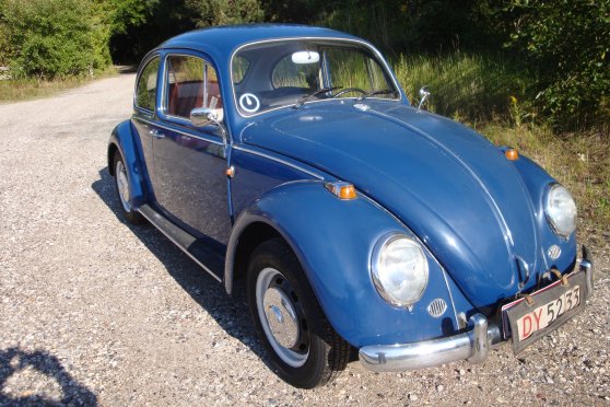 bl vw 006.jpg